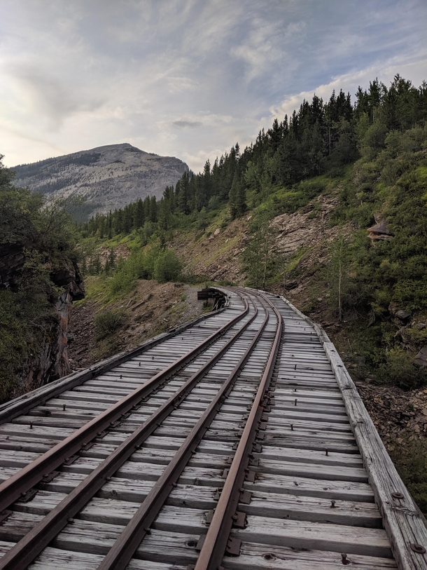 Abandoned train trestle bridge deck My st picture posted of the trestle was so well received I thought you might enjoy another perspective This is from the far side yes I walked across looking back the way I came Location is near Cadomin Alberta Canada