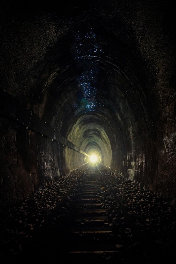 Abandoned train tunnel in Australia is now home to glow worms and micro bats OC x
