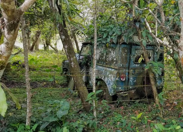 Abandoned truck Bocas del Toro Panama 