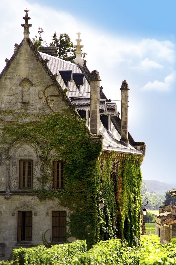 Abandoned Villa covered in Ivy Photo by Yannick Serrano 