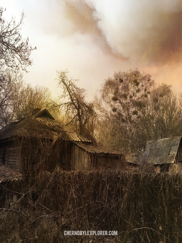 Abandoned village in Chernobyl Zone  a few hours before bushfire destruction