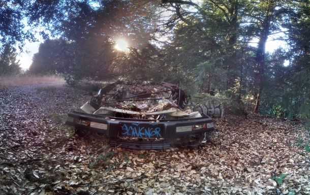Abandoned wreck of a car deep in the woods somewhere in the Santa Cruz hills 