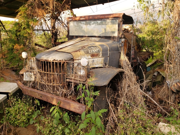 Abandoned WWII military vehicle Hawaii