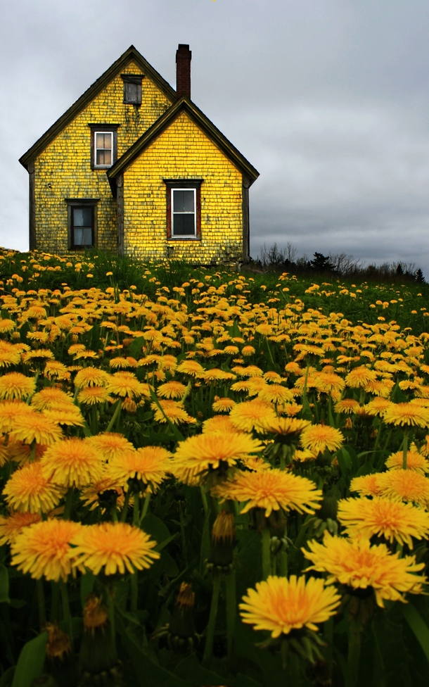 Abandoned Yellow House in Nova Scotia Photo by Matt Madden amp Kim Vallis 