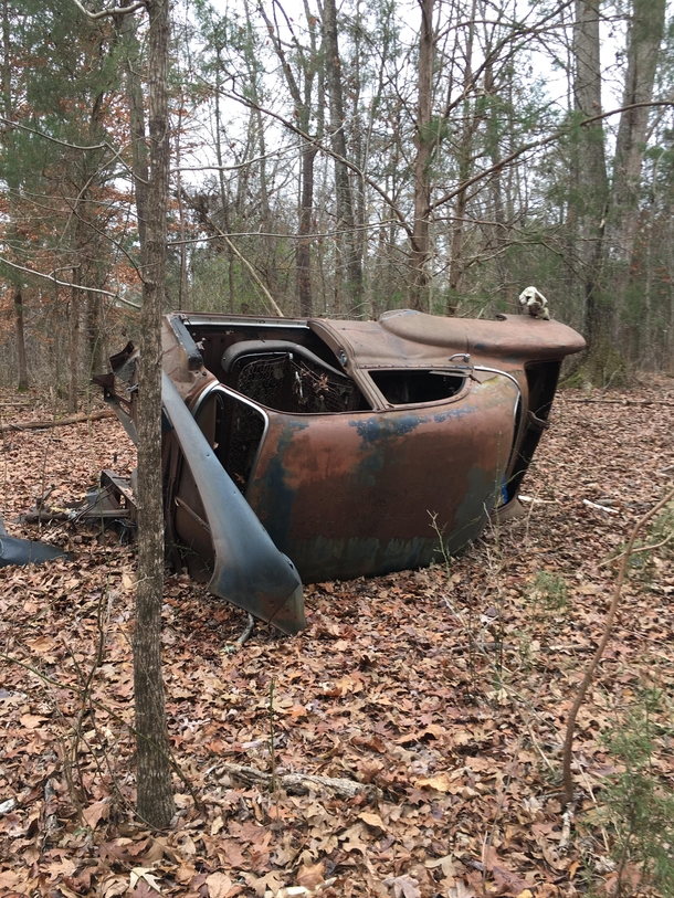 Abounded car I found while walking in the woods Seems to be some sort of s-s Chevy