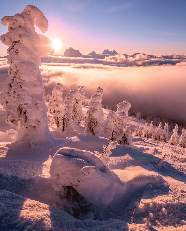 Above cotton candy clouds - Mount Revelstoke Canada instagram guutoby