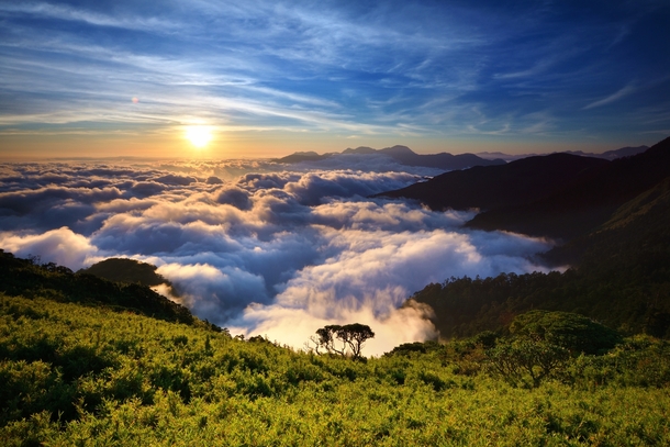 Above the Clouds on Mt Hehuan Taiwan  by Ernie Hsieh