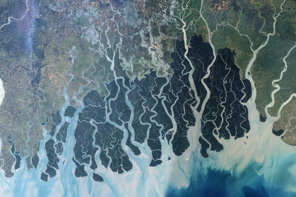 Aerial photo of the Sundarbans Delta in India by NASA 