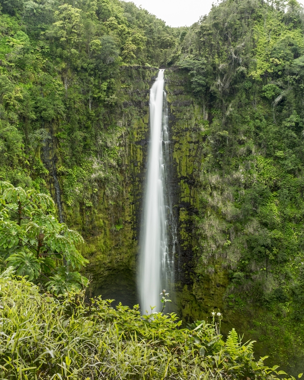 Akaka Falls Big Island 