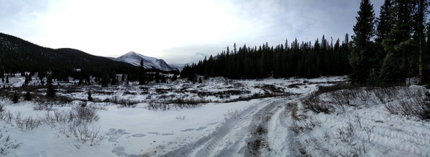 Alberta back country near cutoff creek staging area Snapped on my OnePlus  
