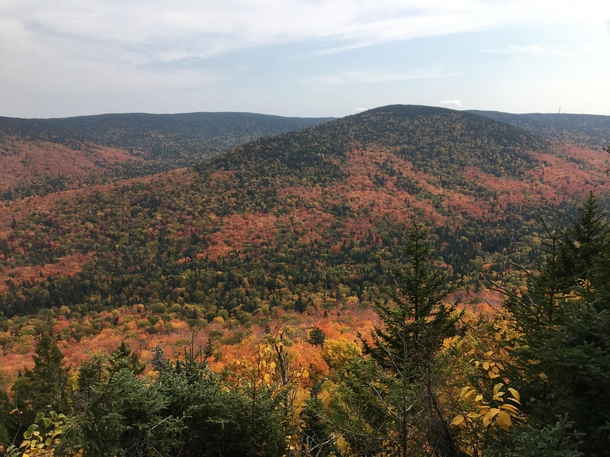 All the colors of fall from the top of Mount Chocolate in Quebec 