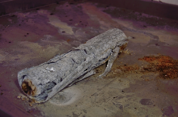 Aluminium foil roll in an abandoned kitchen 