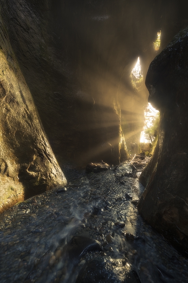 Amazing sunrays in a small slot canyon on the west coast of Vancouver Island 