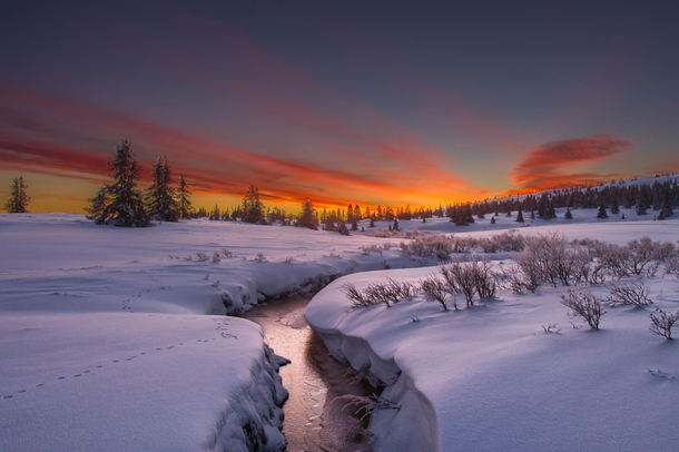 Amazing Sunrise in Norway note the first animal tracks Photo by Jrn Allan Pedersen 