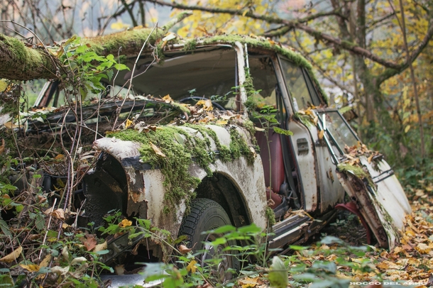 An abandoned car covered in moss  Photographed by Rocco del Anno