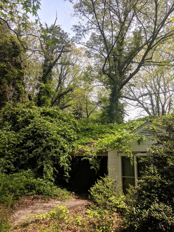 An abandoned overgrown home near Holly Springs Georgia What nature giveth she taketh back eventually 