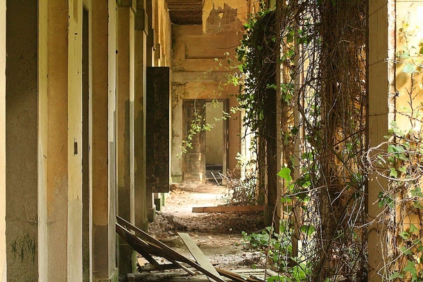 An abandoned psychiatric hospital in Poveglia Venetian Lagoon 