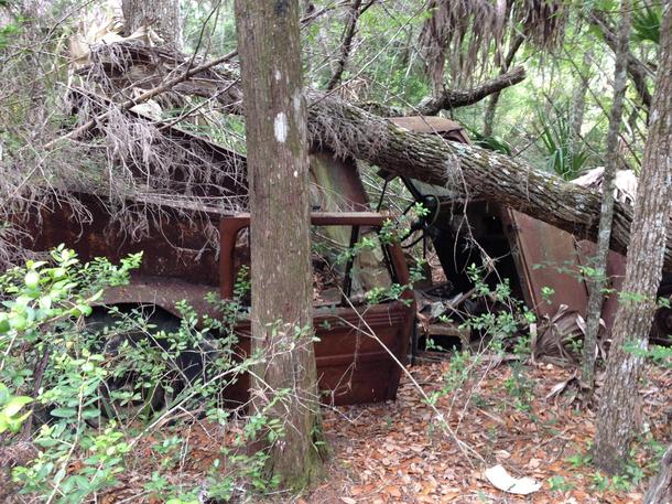 An ancient abandoned truckjeepvehicle of some kind I found while hiking through the swamp on my fathers property in Florida 