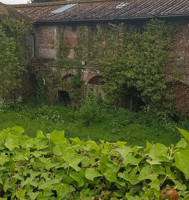 An old building which used to house farming equipment in Ireland Mother Nature is slowly taking it back