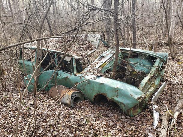 An old Hillman Super Minx Estate I found in the middle of the woods