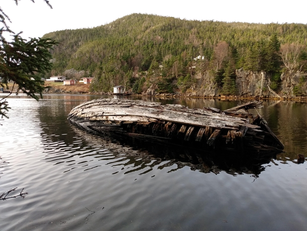 An Old Wooden Fishing Vessel in Newfoundland