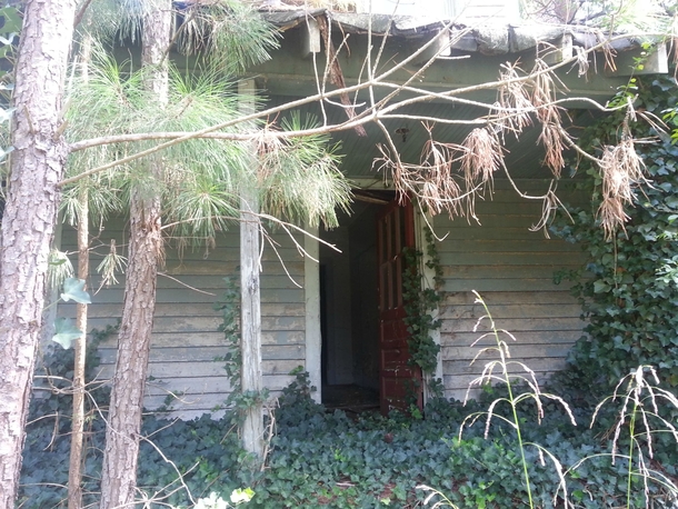 An opened door to a long-forgotten home in NC 