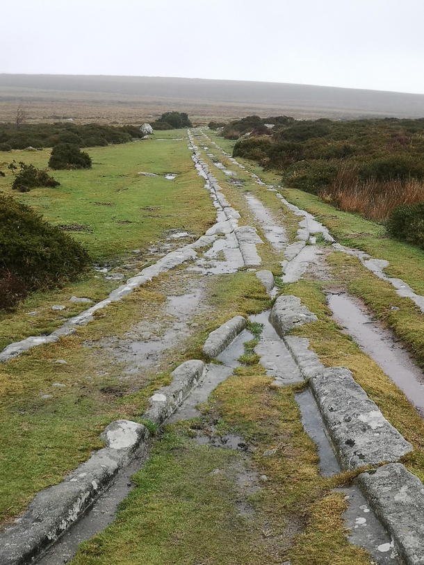 Ancient horse-drawn tramway built  to carry granite from the quarries on Dartmoor UK The granite tracks guide the wheels