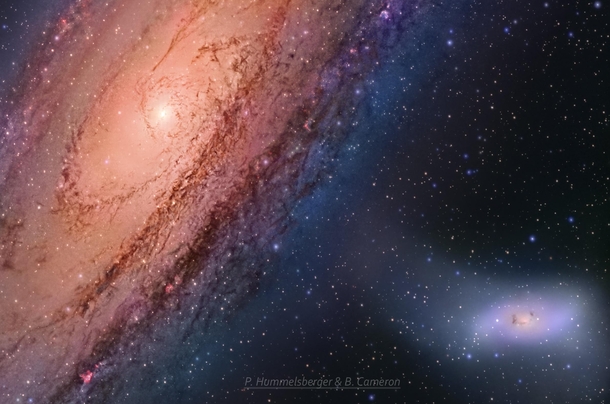Andromeda and M
