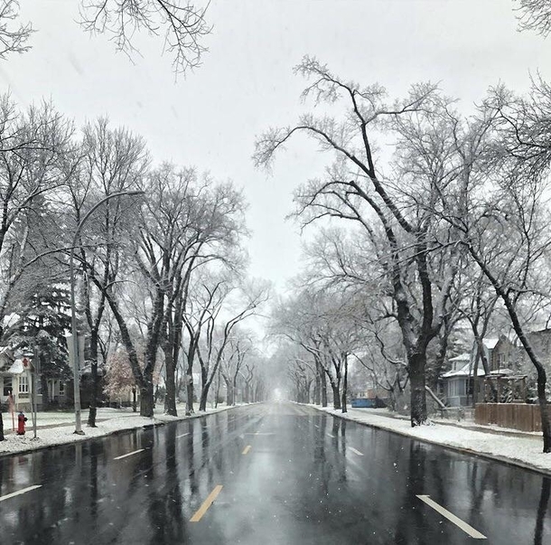 Another amazing winter shot courtesy of Winnipeg Manitoba Canada