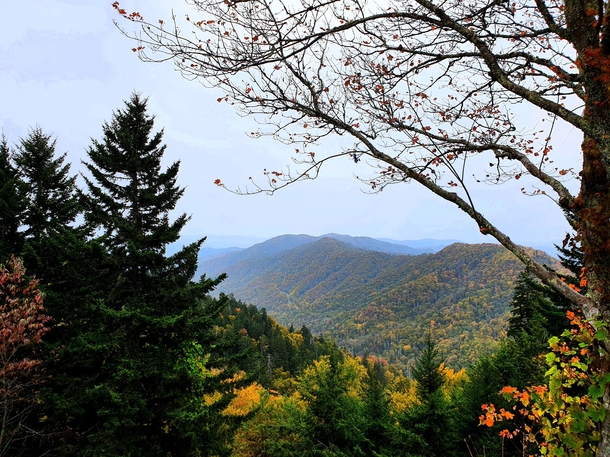 Another Appalachian autumn Newfound Gap GSMNP 