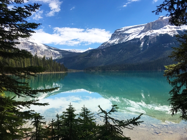 Another view of Emerald Lake this morning The color of the water is unbelievable Yoho National Park BC 