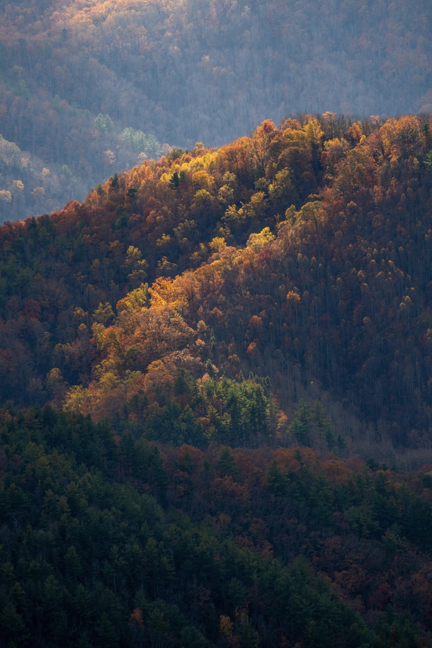 Appalachian Mountains North Carolina 