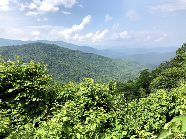 Appalachian mountains viewing height approximately  ft North Carolina USA x 