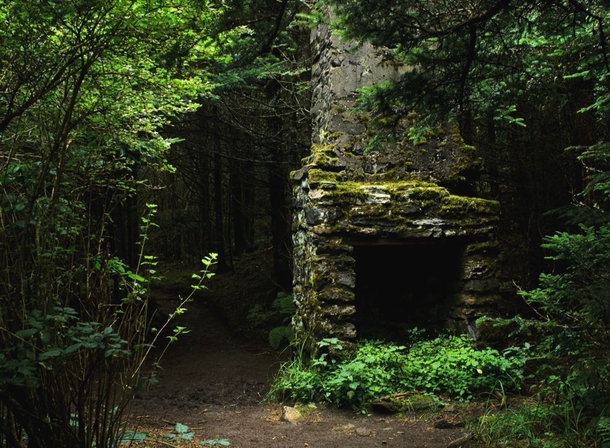 Appalachian Ruins Roan High Knob Roan Mountain 