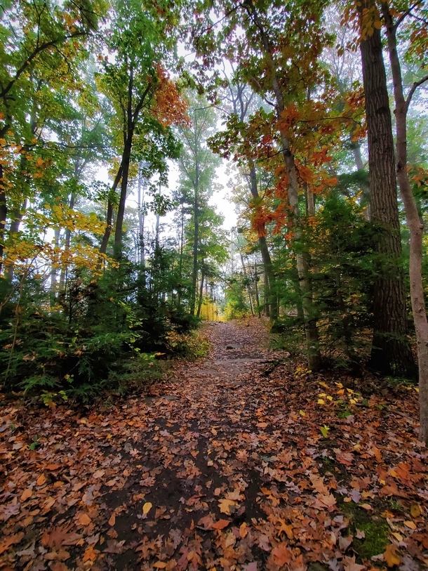 Appalachian Trails in Bangor Pennsylvania USA 