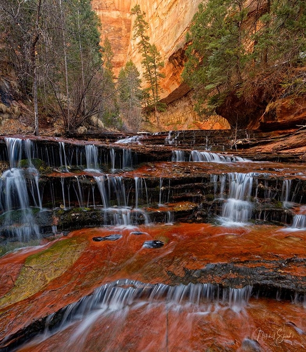Archangel Falls in Zion National Park Utah  OC   X   IG thelightexplorer