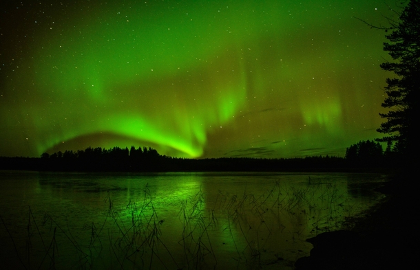 Aurora Borealis on a cold Swedish autumn night 