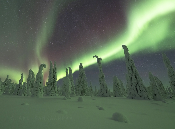Aurora Borealis over Finland in January  Photographer Aku Kankaanp 