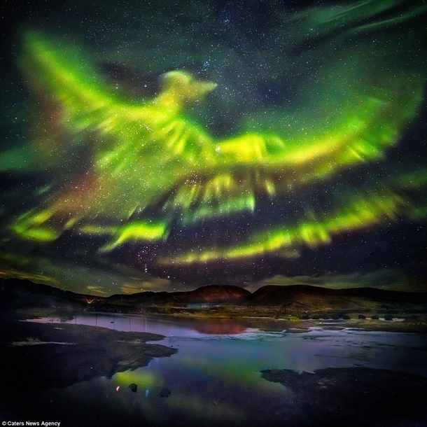 Aurora borealis over Iceland forming a phoenix Hallgrimur P Helgason