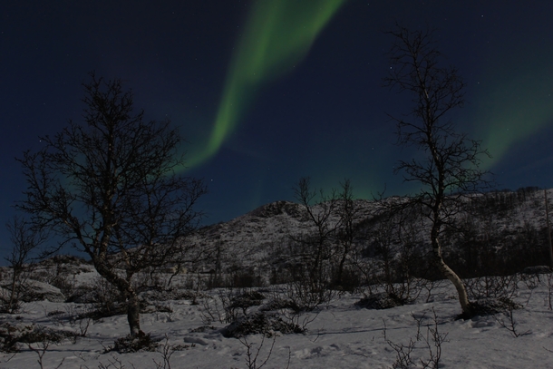 Aurora Borealis over Northern Norway 