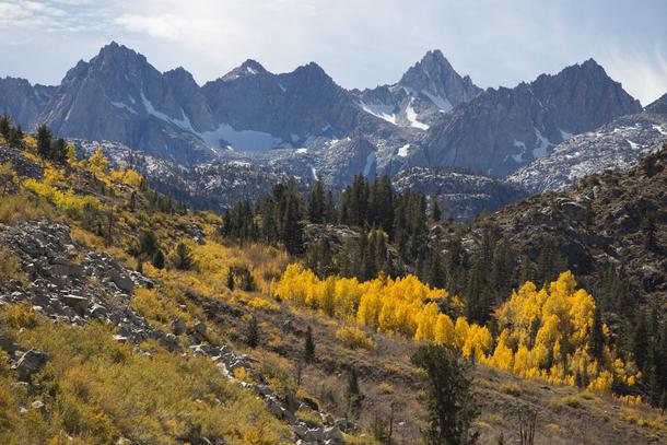 Autumn colors and mountains of Bishop California 