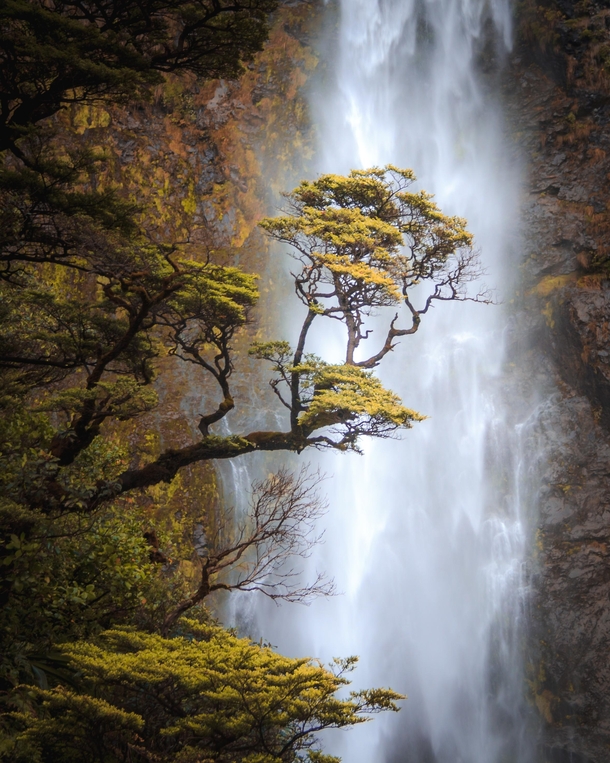 Autumn colours at Devils Punchbowl Falls in New Zealand 