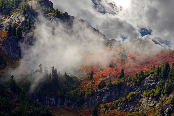 Autumn in Mount Rainier National Park 