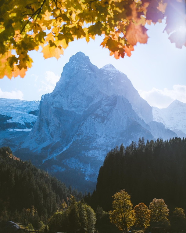 Autumn in the Bernese Alps Switzerland 