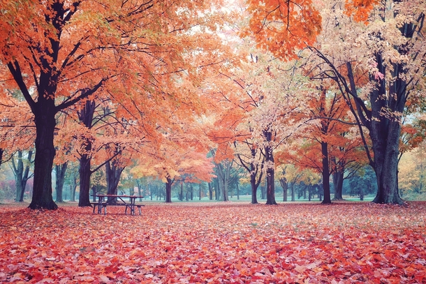 Autumn in Toronto Canada 