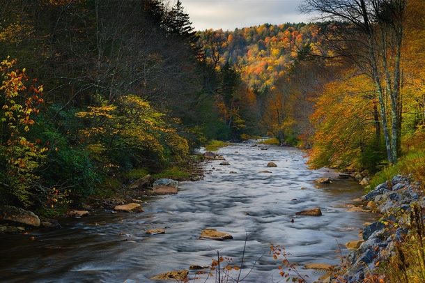 Autumn on a nice river in the Allegheny Mountains 