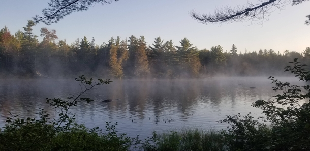 Back county camping Maine x OC