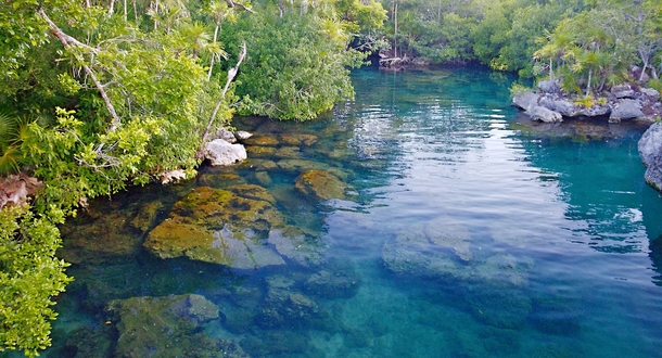 Backwaters of Xel-Ha Mexico 