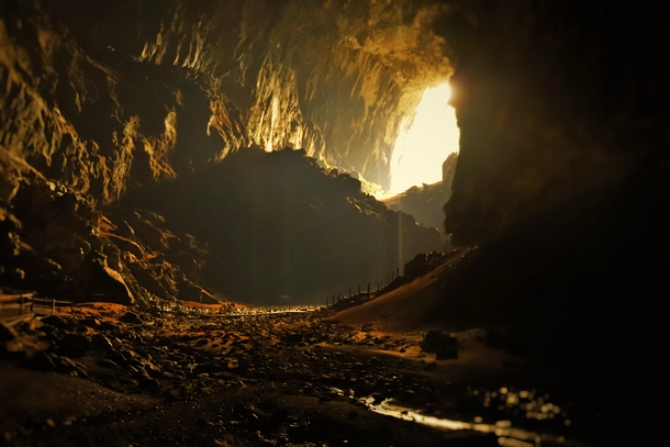 Bat Cave Gunung Mulu National Park Borneo  x 