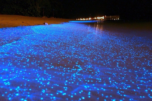 Beach In Maldives On A Mystical Night By Will Ho 